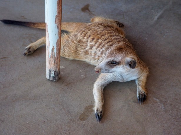 Klein Karoo, South Africa
