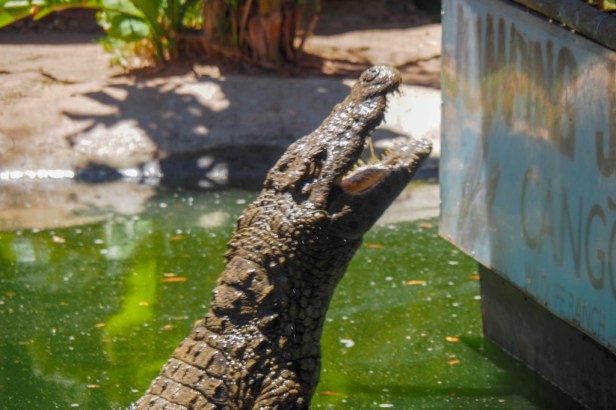 Klein Karoo, South Africa