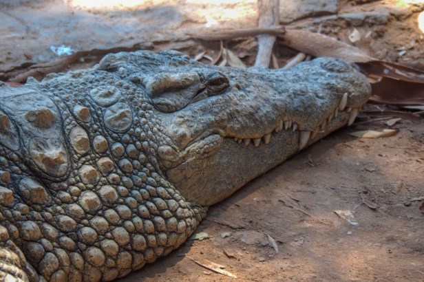 Klein Karoo, South Africa