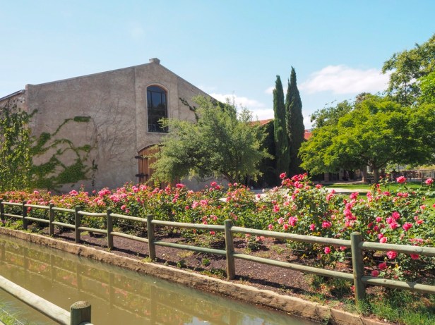 Springfield Estate, Robertson Wine Valley