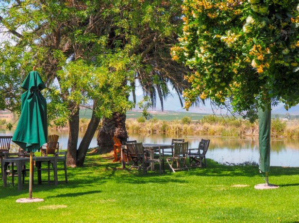 Springfield Estate, Robertson Wine Valley