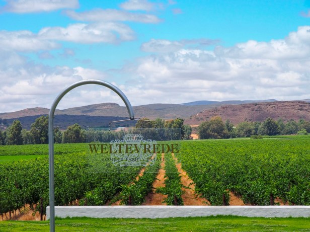 Weltevrede, Robertson Wine Valley