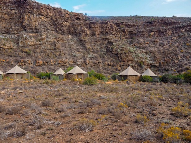 Sanbona Wildlife Resort, Klein Karoo, South Africa