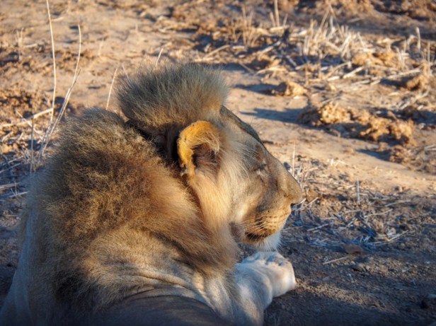 Sanbona Wildlife Resort, Klein Karoo, South Africa