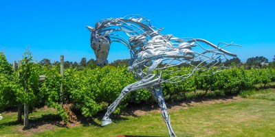 Bramon Wine Estate, Plettenberg Bay Wine Route