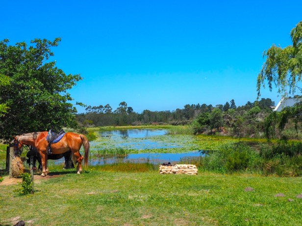 Bramon Wine Estate, Plettenberg Bay Wine Route