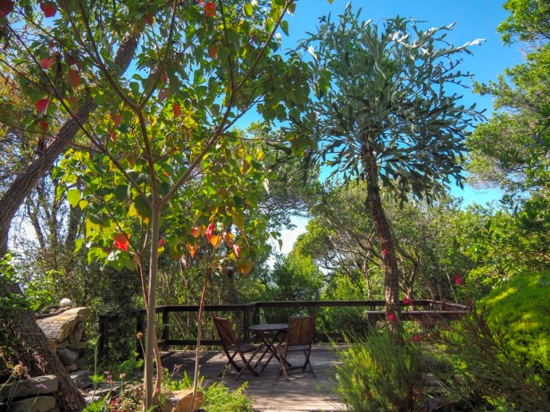 Kanonkop House, Knysna