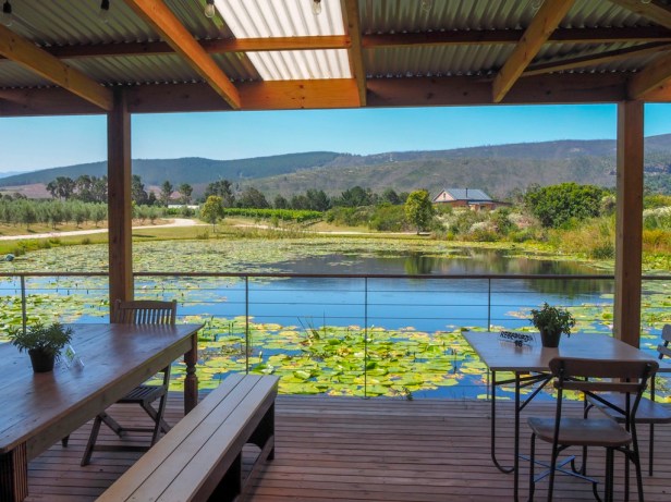 Lodestone Wine, Plettenberg Bay Wine Route
