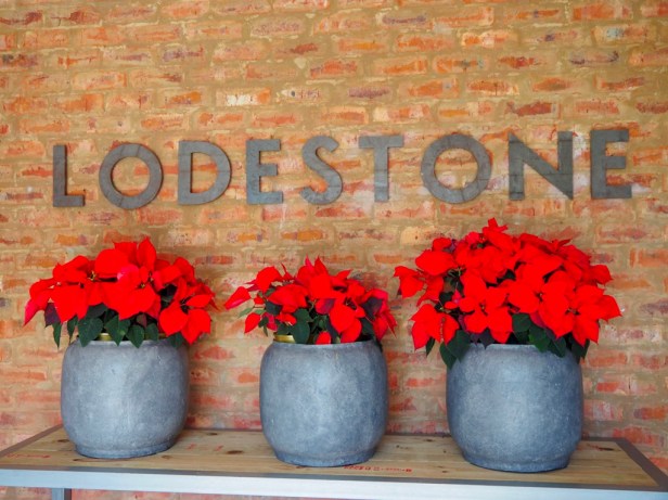 Lodestone Wine, Plettenberg Bay Wine Route