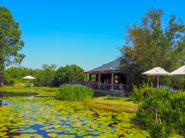 Lodestone Wine, Plettenberg Bay Wine Route