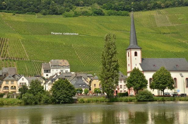 Mosel, Piesport