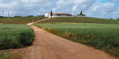 Alentejo wine region, Portugal