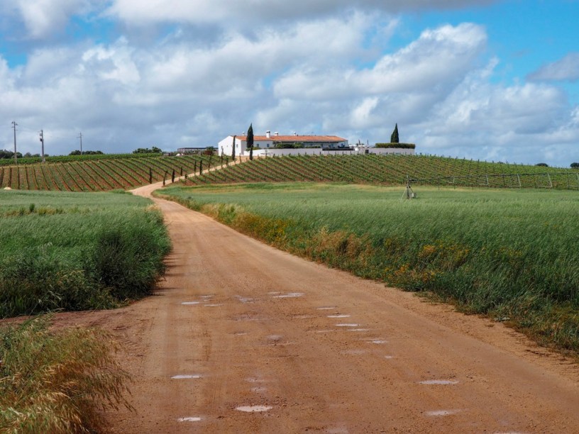 Alentejo wine region, Portugal