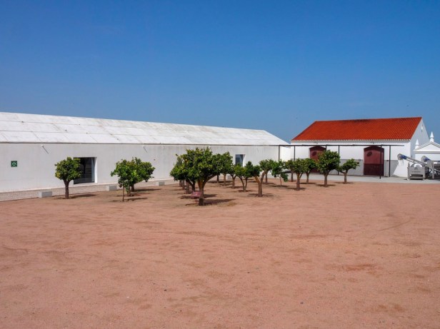 Torre de Palma Wine Hotel