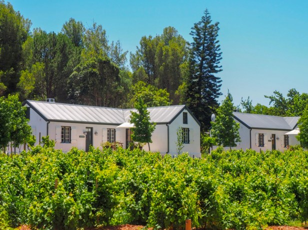 Boschendal Wine Farm, Franschhoek