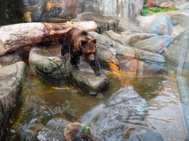 Skansen Open Air Museum, Stockholm
