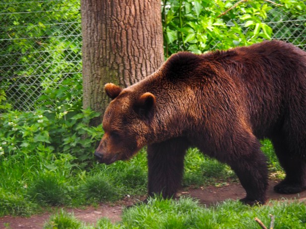 Skansen Open Air Museum, Stockholm