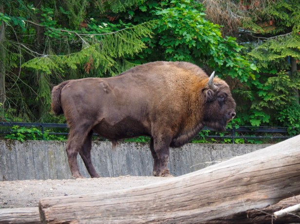 Skansen Open Air Museum, Stockholm