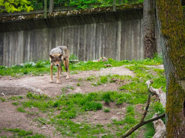 Skansen Open Air Museum, Stockholm