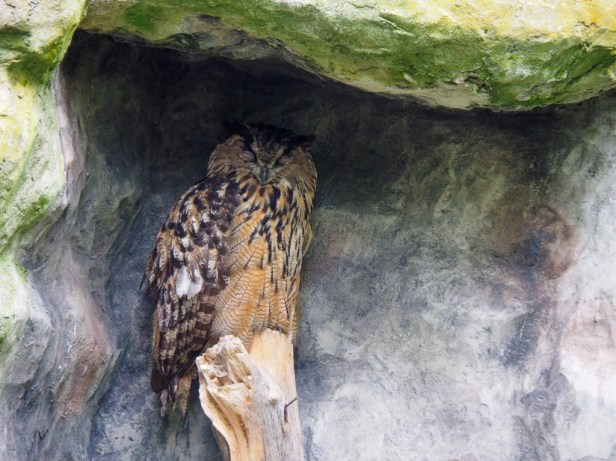 Skansen Open Air Museum, Stockholm