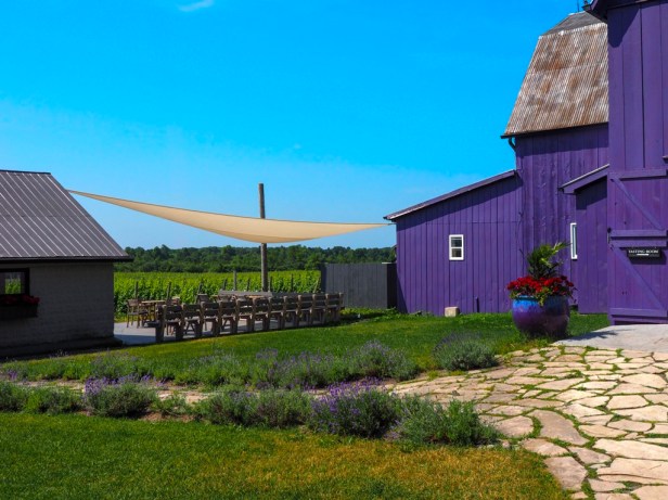 A visit to Prince Edward County Wineries