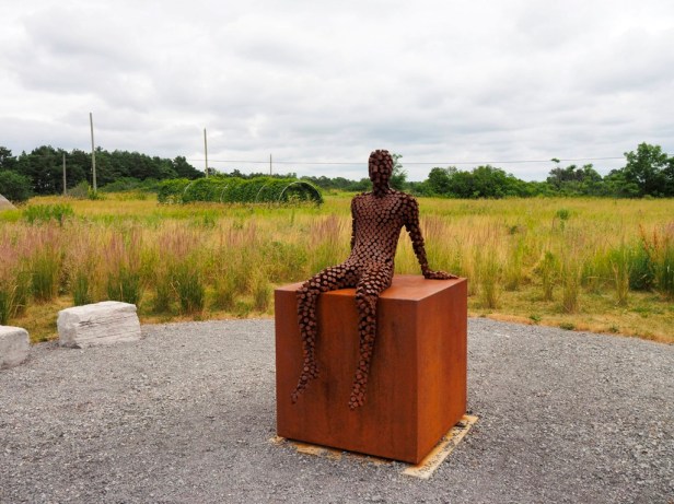 A visit to Prince Edward County Wineries