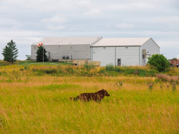 A visit to Prince Edward County Wineries