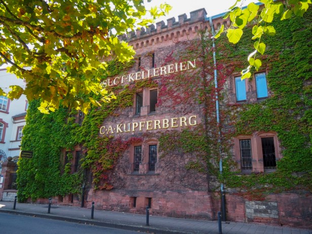 How to spend an unforgettable wine weekend in Mainz