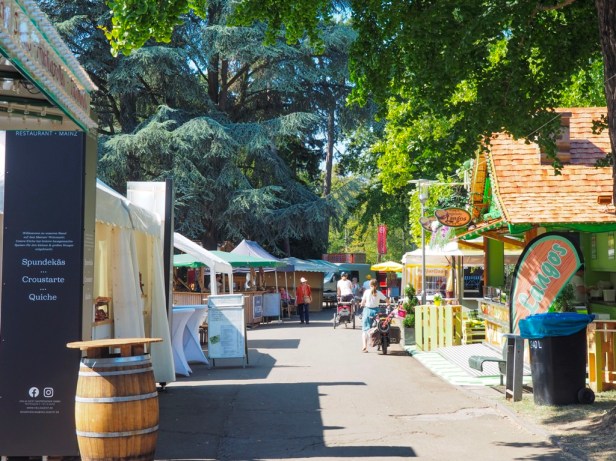 How to spend an unforgettable wine weekend in Mainz