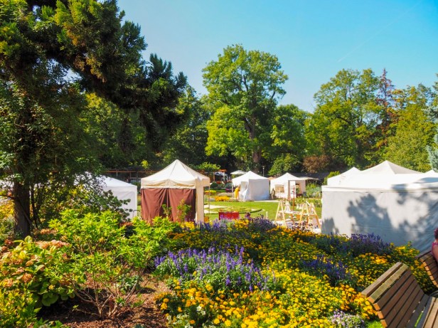 How to spend an unforgettable wine weekend in Mainz