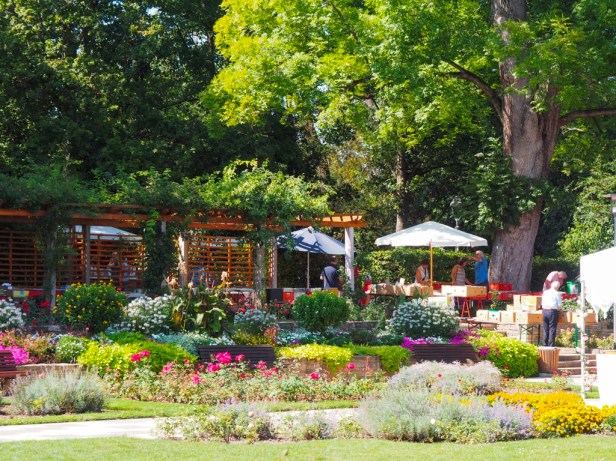 How to spend an unforgettable wine weekend in Mainz