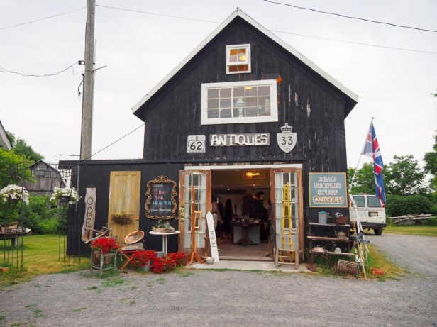 Why I have fallen in love with Prince Edward County, and you will too