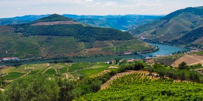 8 essential things to know before visiting a European wine region