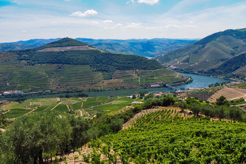 8 essential things to know before visiting a European wine region