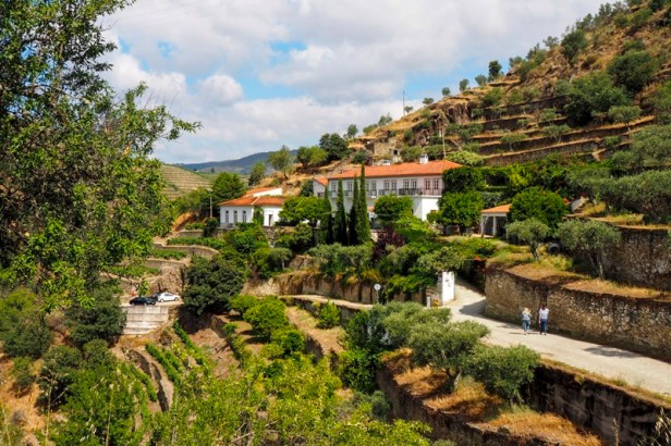 8 essential things to know before visiting a European wine region