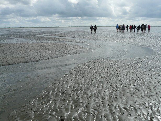 Wattenmeer