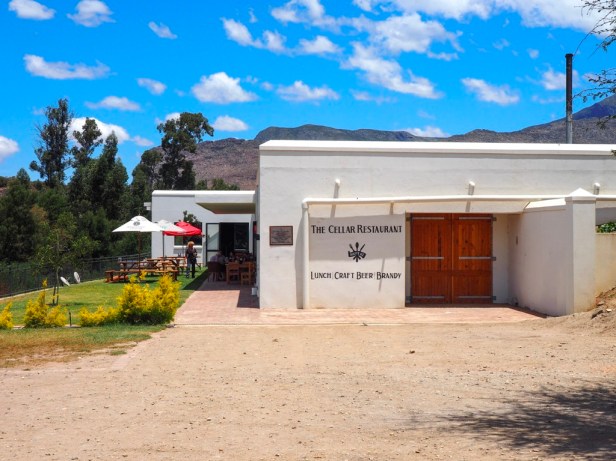 6 awesome reasons why you should visit the Cape Winelands in South Africa