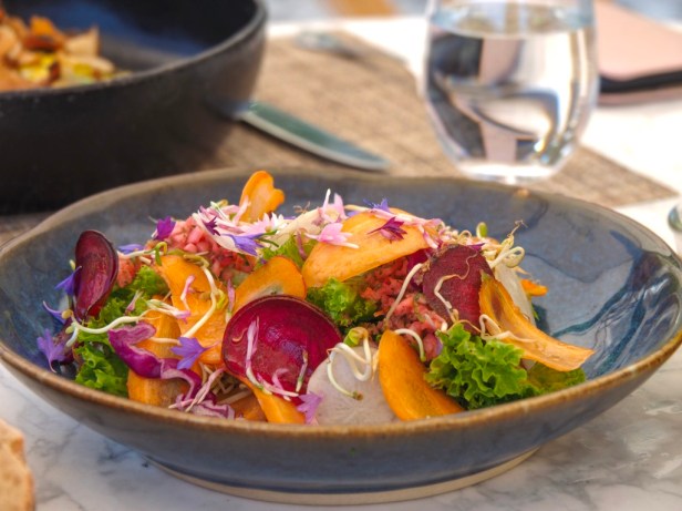 6 awesome reasons why you should visit the Cape Winelands in South Africa