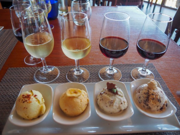 6 awesome reasons why you should visit the Cape Winelands in South Africa