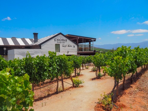 Esona, Robertson Wine Valley