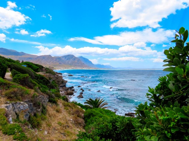 Best things to do in Hermanus beyond whale watching