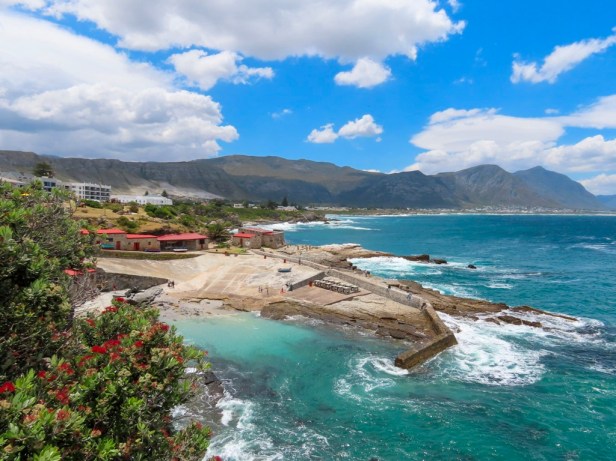 Best things to do in Hermanus beyond whale watching