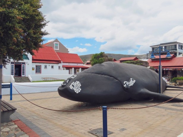 Best things to do in Hermanus beyond whale watching