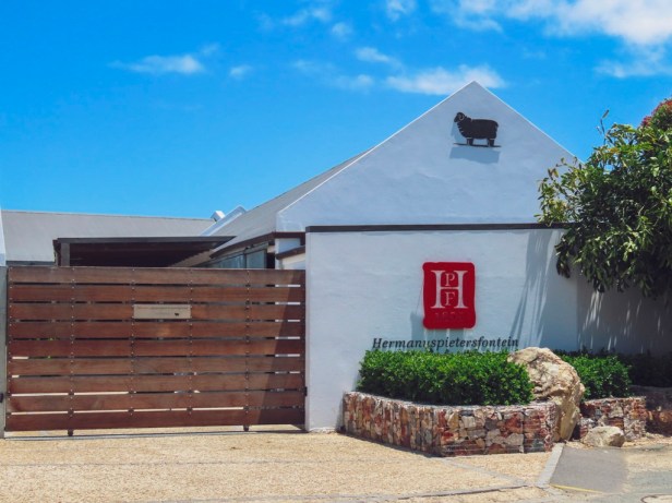 The wine region less travelled: A day in Hemel en Aarde Valley