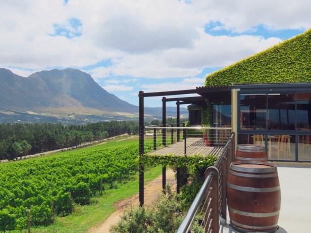 The wine region less travelled: A day in Hemel en Aarde Valley