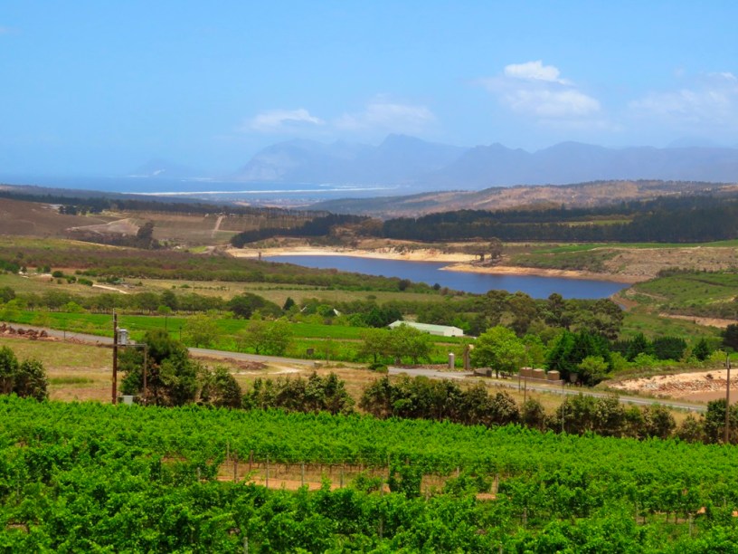 The wine region less travelled: A day in Hemel en Aarde Valley