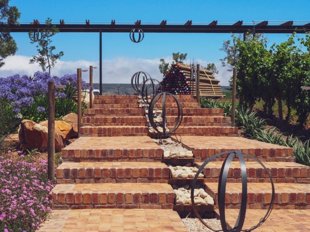 A wine lovers guide to Elgin, South Africa