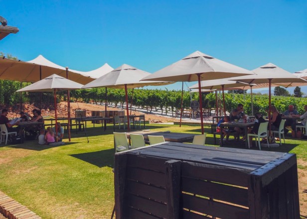 A wine lovers guide to Elgin, South Africa