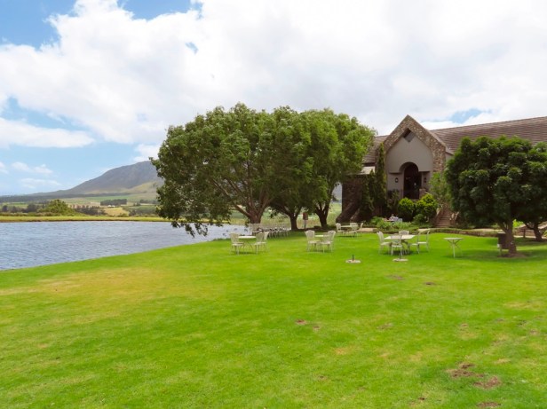 Best things to do in Hermanus beyond whale watching