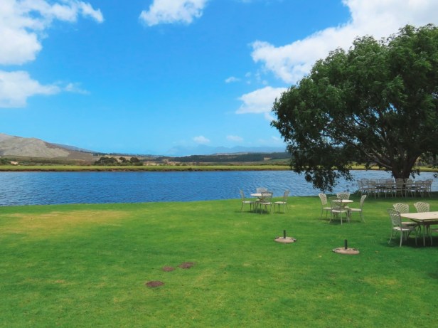 The wine region less travelled: A day in Hemel en Aarde Valley